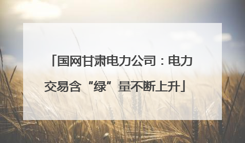国网甘肃电力公司：电力交易含“绿”量不断上升