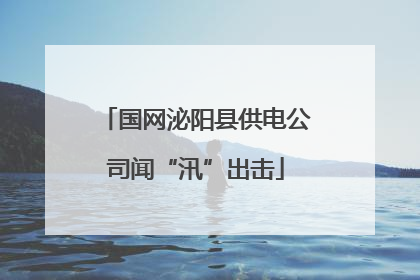 国网泌阳县供电公司闻“汛”出击