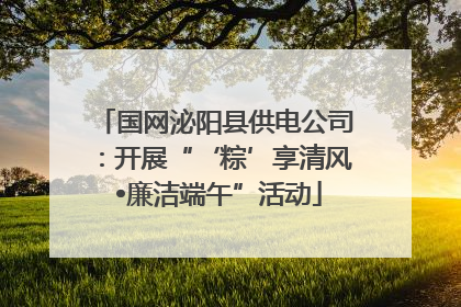 国网泌阳县供电公司：开展“‘粽’享清风 •廉洁端午”活动