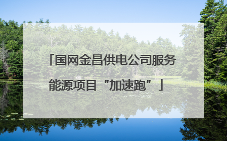 国网金昌供电公司服务能源项目“加速跑”