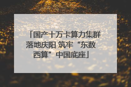 国产十万卡算力集群落地庆阳 筑牢“东数西算”中国底座