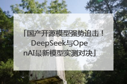 国产开源模型强势追击！DeepSeek与OpenAI最新模型实测对决