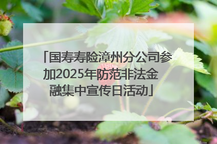 国寿寿险漳州分公司参加2025年防范非法金融集中宣传日活动