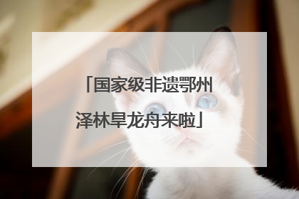 国家级非遗鄂州泽林旱龙舟来啦