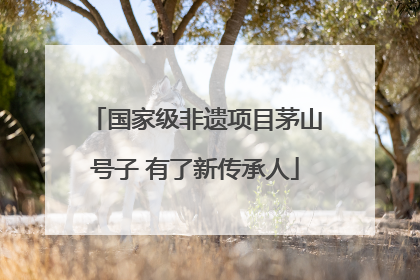 国家级非遗项目茅山号子 有了新传承人