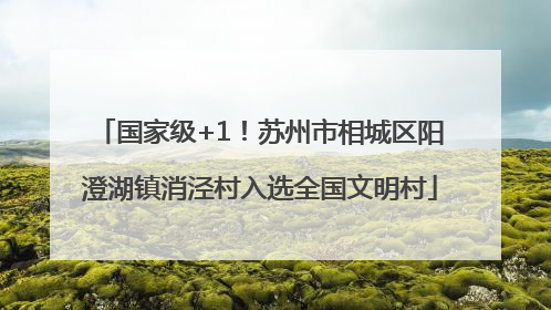 国家级+1！苏州市相城区阳澄湖镇消泾村入选全国文明村