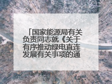 国家能源局有关负责同志就《关于有序推动绿电直连发展有关事项的通知》答记者问