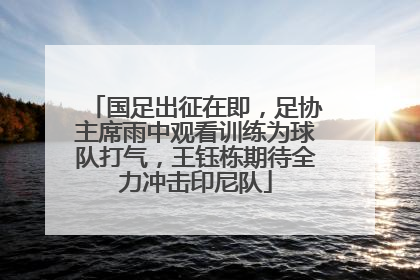 国足出征在即，足协主席雨中观看训练为球队打气，王钰栋期待全力冲击印尼队
