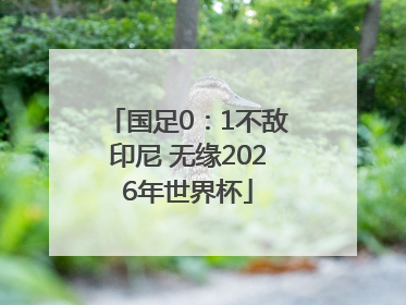 国足0：1不敌印尼 无缘2026年世界杯
