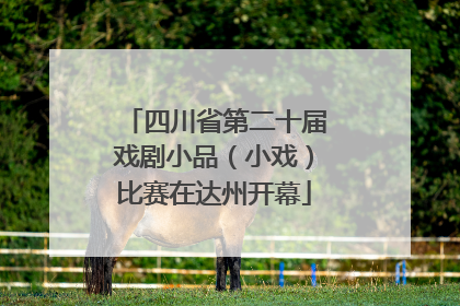 四川省第二十届戏剧小品（小戏）比赛在达州开幕