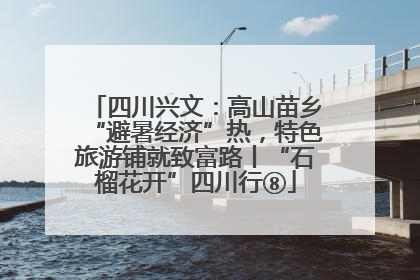四川兴文：高山苗乡“避暑经济”热，特色旅游铺就致富路丨“石榴花开”四川行⑧