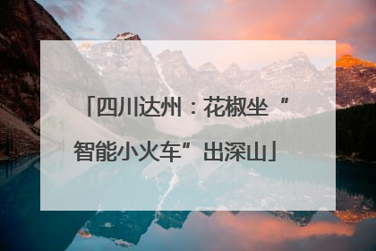 四川达州：花椒坐“智能小火车”出深山