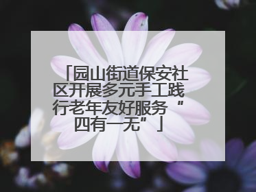 园山街道保安社区开展多元手工践行老年友好服务“四有一无”