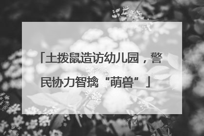 土拨鼠造访幼儿园，警民协力智擒“萌兽”