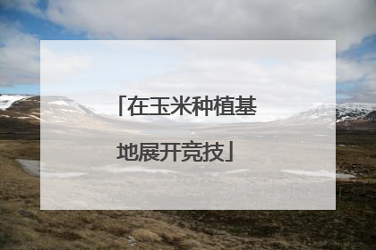 在玉米种植基地展开竞技