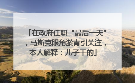 在政府任职“最后一天”，马斯克眼角淤青引关注，本人解释：儿子干的