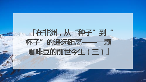 在非洲，从“种子”到“杯子”的遥远距离——一颗咖啡豆的前世今生（三）