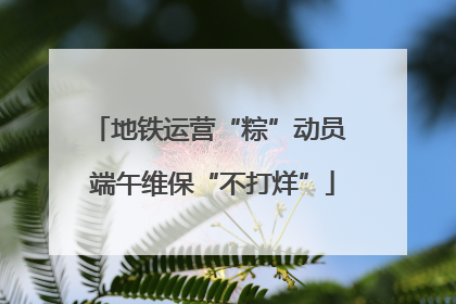 地铁运营“粽”动员 端午维保“不打烊”