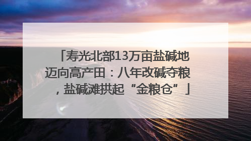 寿光北部13万亩盐碱地迈向高产田：八年改碱夺粮，盐碱滩拱起“金粮仓”