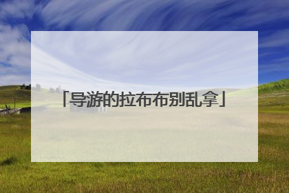 导游的拉布布别乱拿