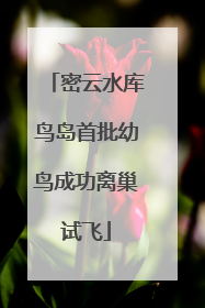 密云水库鸟岛首批幼鸟成功离巢试飞