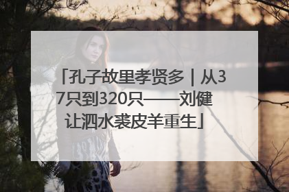孔子故里孝贤多｜从37只到320只——刘健让泗水裘皮羊重生