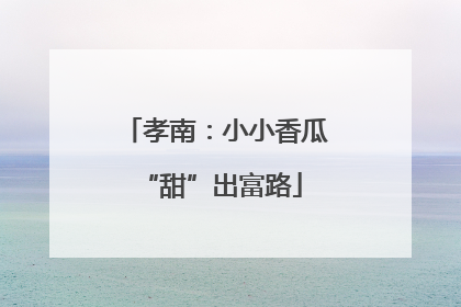 孝南：小小香瓜 “甜”出富路