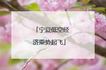 宁夏低空经济乘势起飞