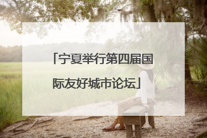 宁夏举行第四届国际友好城市论坛