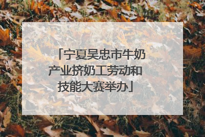 宁夏吴忠市牛奶产业挤奶工劳动和技能大赛举办