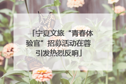 宁夏文旅“青春体验官”招募活动在蓉引发热烈反响