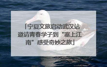 宁夏文旅启动武汉站 邀请青春学子到“塞上江南”感受奇妙之旅