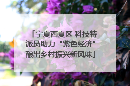 宁夏西夏区 科技特派员助力“紫色经济”酿出乡村振兴新风味