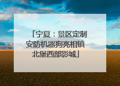 宁夏：景区定制安防机器狗亮相镇北堡西部影城