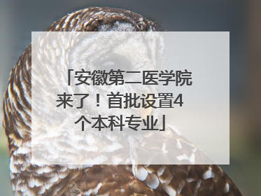 安徽第二医学院来了！首批设置4个本科专业