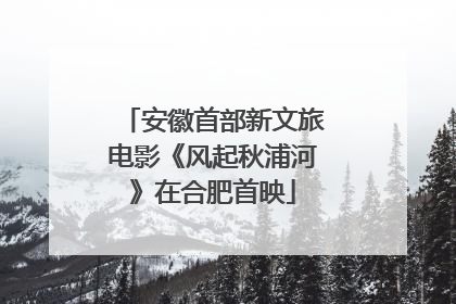 安徽首部新文旅电影《风起秋浦河》在合肥首映
