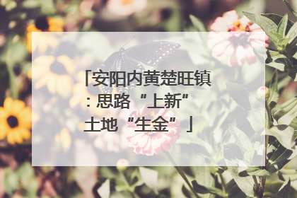 安阳内黄楚旺镇：思路“上新” 土地“生金”