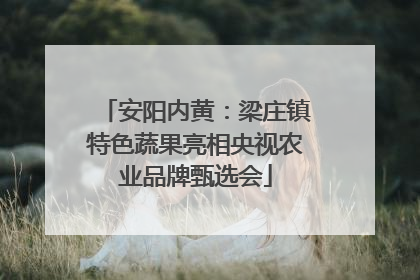 安阳内黄：梁庄镇特色蔬果亮相央视农业品牌甄选会