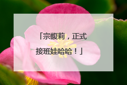 宗馥莉，正式接班娃哈哈！