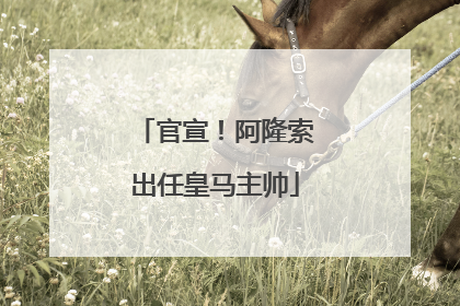 官宣！阿隆索出任皇马主帅