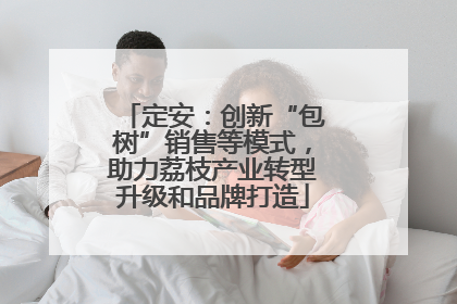 定安：创新“包树”销售等模式，助力荔枝产业转型升级和品牌打造