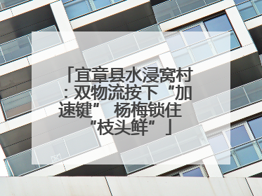 宜章县水浸窝村：双物流按下“加速键” 杨梅锁住“枝头鲜”