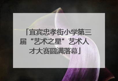 宜宾忠孝街小学第三届“艺术之星”艺术人才大赛圆满落幕
