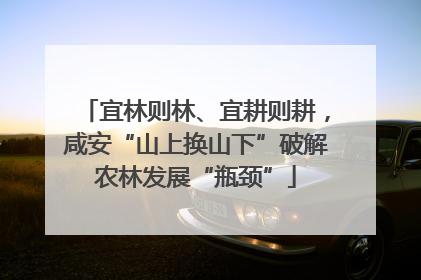 宜林则林、宜耕则耕，咸安“山上换山下”破解农林发展“瓶颈”