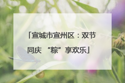 宣城市宣州区：双节同庆 “粽”享欢乐