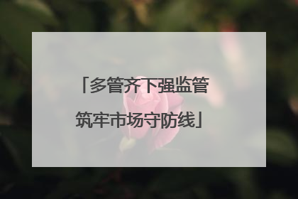 多管齐下强监管 筑牢市场守防线