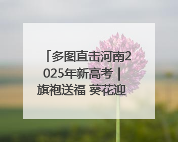 多图直击河南2025年新高考｜旗袍送福 葵花迎胜——许昌高考首日拉开帷幕