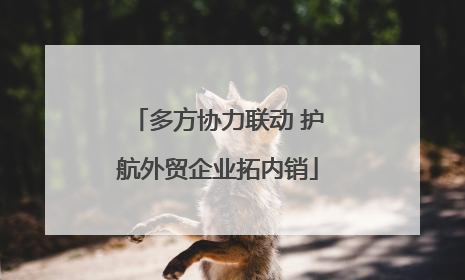 多方协力联动 护航外贸企业拓内销