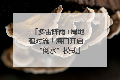 多雷阵雨+局地强对流！海口开启“倒水”模式