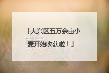 大兴区五万余亩小麦开始收获啦！